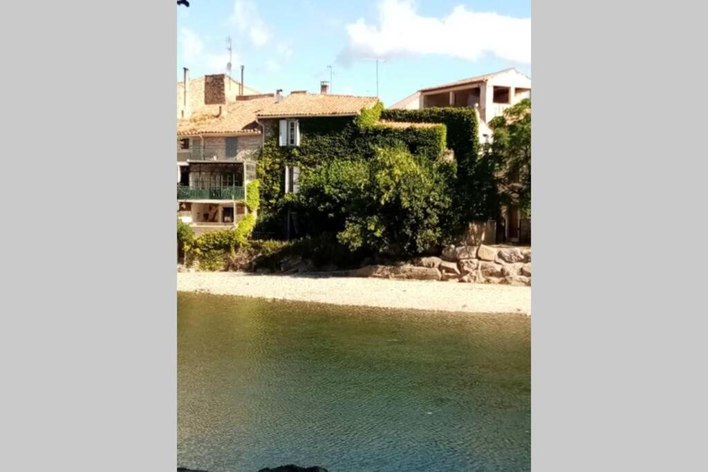 Character Filled House Overlooking The River Cesse Bize-Minervois Kültér fotó